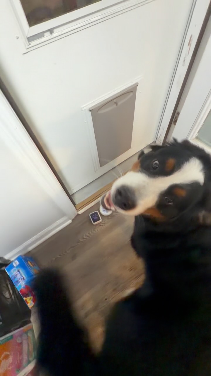 Preview of Louie and Aspen practicing an outside button